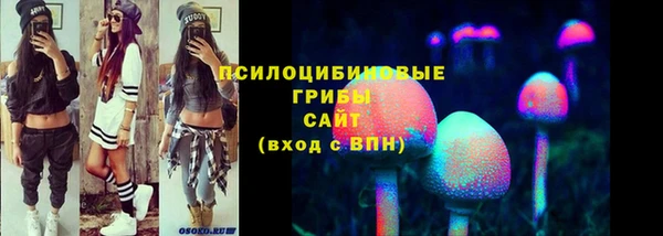 бутират Бородино