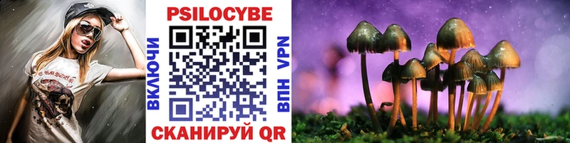 Псилоцибиновые грибы MAGIC MUSHROOMS  сколько стоит  мега ТОР  Новороссийск 
